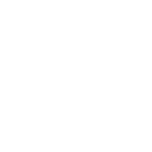 Primary Raster logo